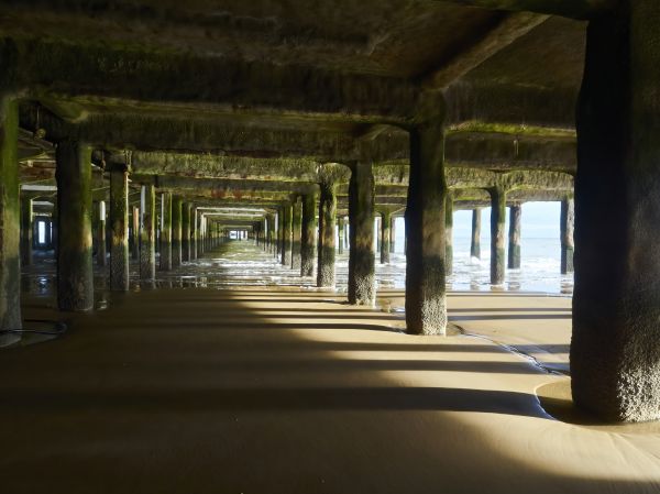 Concrete Pier Repair in Elgin